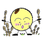 イメージキャラクター 合資会社 八丁味噌