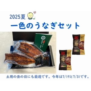 一色のうなぎセット